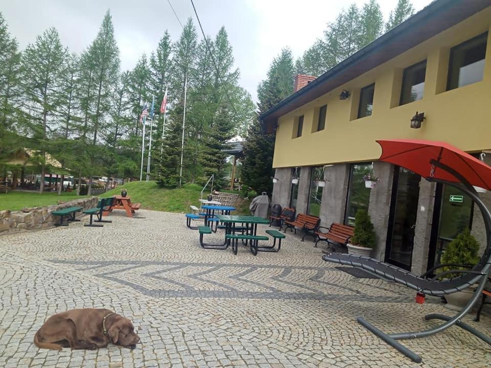 Wincentówka - Realizujemy Bon Turystyczny *